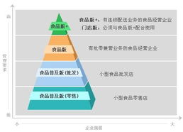 管家婆 任我行公司如何引領管理類軟件開發的創新之路